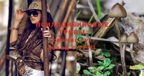 шишки Володарск