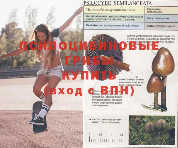 ешки Верея