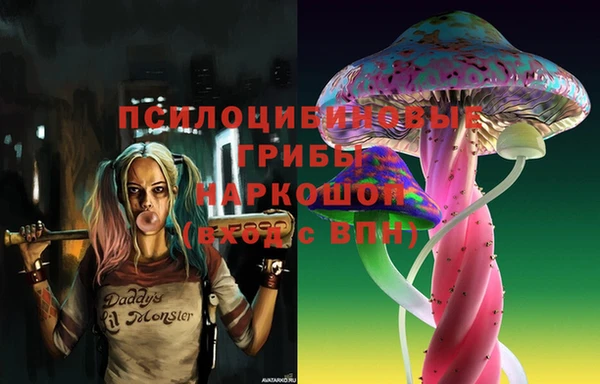 ешки Верея