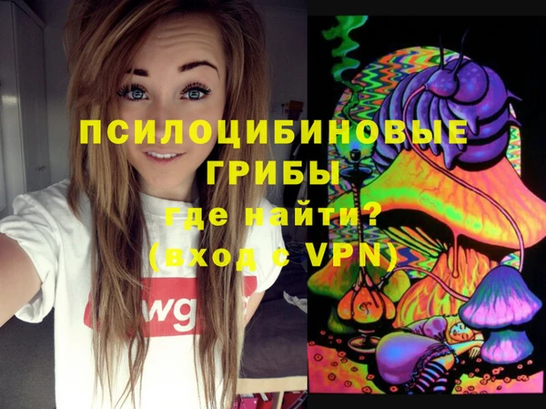 шишки Володарск