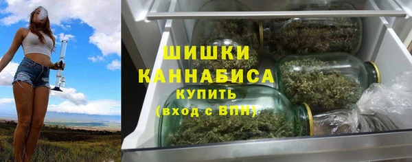 СК Волосово