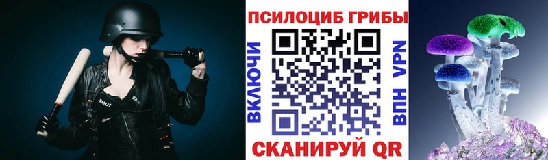 даркнет состав  как найти наркотики  Исилькуль  Галлюциногенные грибы Magic Shrooms 
